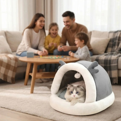 chaton detendu nid chaton famille joue dans salon familial