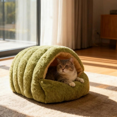 chaton detendu paisiblement dans sa maison pour chaton 