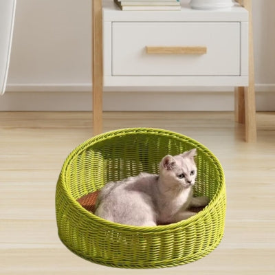 chaton detendu panier en rotin pour chat vert lime