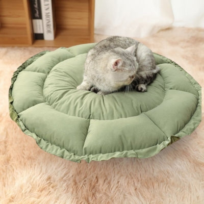 chaton detendu sur couffin chaton forme lit