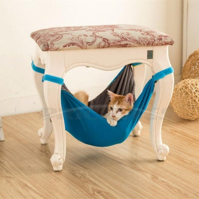 chaton detendu sur hamac chat suspendu à chaise
