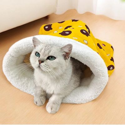 chaton detendu nid chaton jaune nounours