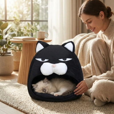 chaton dort couffin chaton maîtresse le regardant tendrement