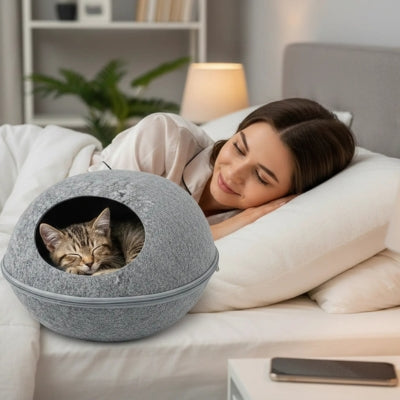 chaton dort dans cocon pour chat maîtresse dans son lit