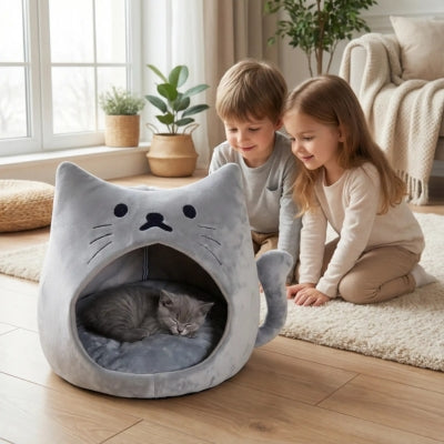 chaton dort dans niche pour chaton enfants curieux le regardant