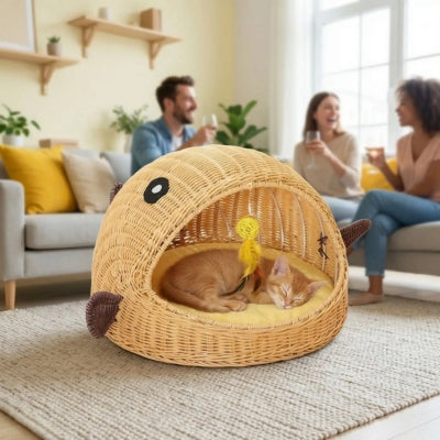 chaton dort dans panier chatons invités dans salon