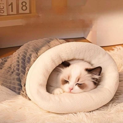 chaton dort paisiblement dans couffin chaton gris