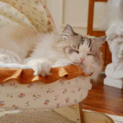 chaton dort profondement couffin chaton