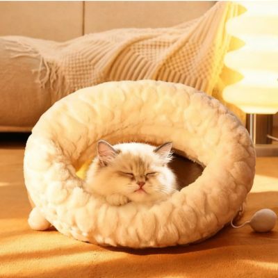 chaton dort profondement dans couffin pour chaton 