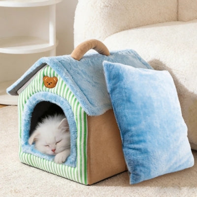 chaton dort profondement dans sa maison chaton
