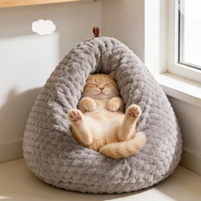 chaton dort sur son dos dans nid chaton 