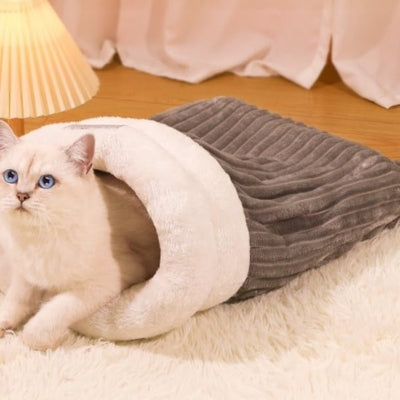 chaton en detente dans couffin chaton