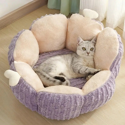 chaton en detente dans panier chaton violet lavande