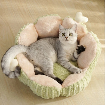 chaton en relaxation dans panier chaton vert cactus