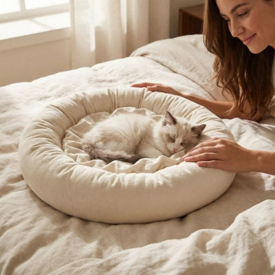 chaton endormi couffin pour chat blanc maîtresse le caresse