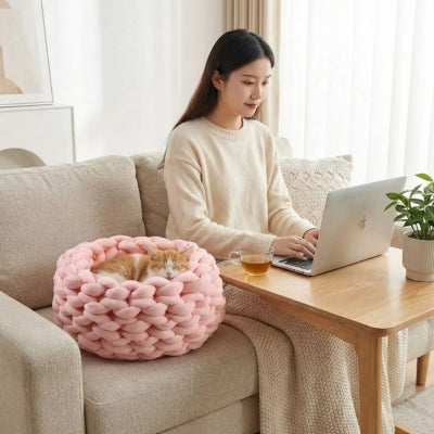 chaton endormi dans chaton panier maîtresse travaillant sur ordinateur à côté