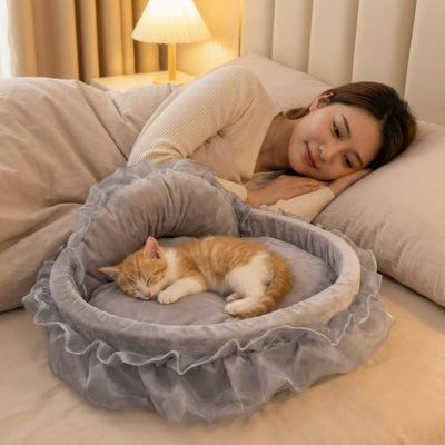 chaton endormi dans couffin chaton à côté sa maîtresse