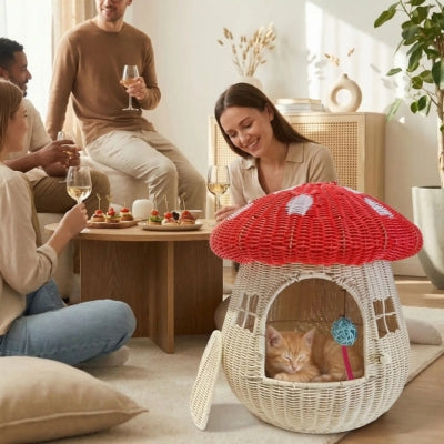 chaton endormi dans maison pour chaton  invités autour