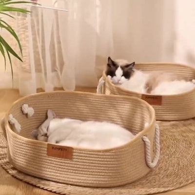 chaton endormi dans panier chatons ragdoll relaxant dans autre panier