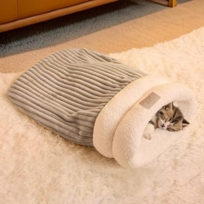 chaton endormi profondement couffin chaton