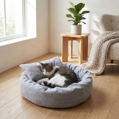 chaton endormi profondement dans couffin pour chat