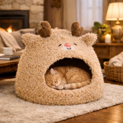 chaton endormi profondement dans sa niche pour chaton