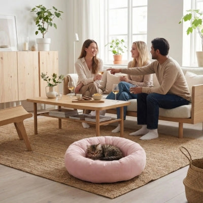chaton enroulé couffin pour chat rose invités discutent dans salon