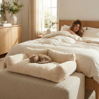 chaton enroulé dans lit pour chaton maîtresse dans son lit