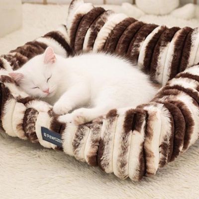 chaton enroulé dans panier chatons moka crème