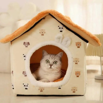 chaton excité dans sa maison pour chaton