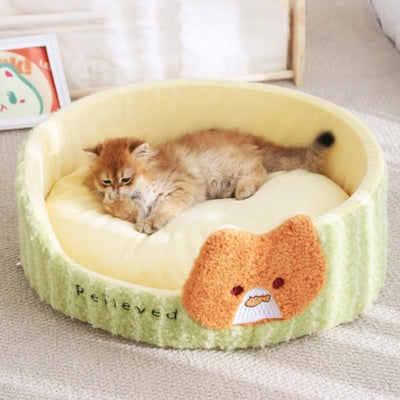 chaton-fait-sa-toilette-dans-coussin-chaton
