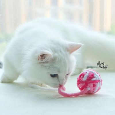 chaton jouant avec jouet chat balle rose et blanc