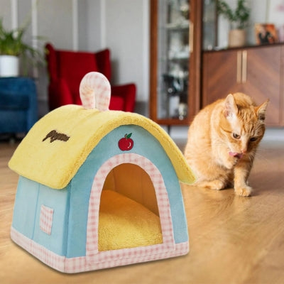chaton joue à côté maison pour chaton miss pomme