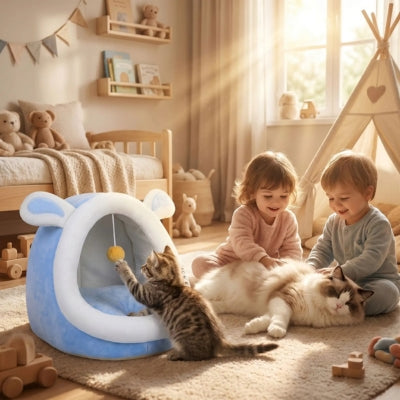 chaton joue avec balle suspendue toit niche chats enfants caressent ragdoll