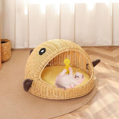 chaton joue avec plume suspendue toit panier chatons