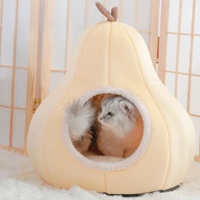 chaton lové couffin chaton jaune vanille