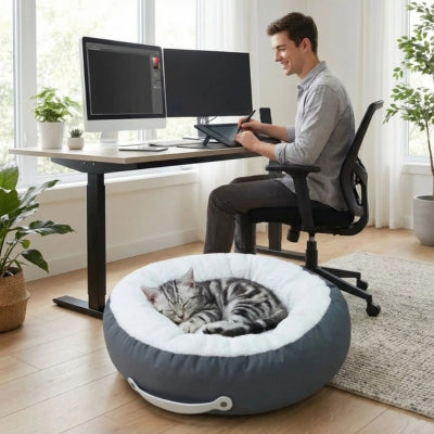 chaton lové coussin chaton maître travaille à côté