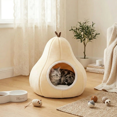 chaton lové dans couffin chaton jaune vanille