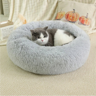 chaton lové dans couffin chaton