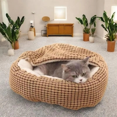 chaton lové dans couffin pour chaton marron café