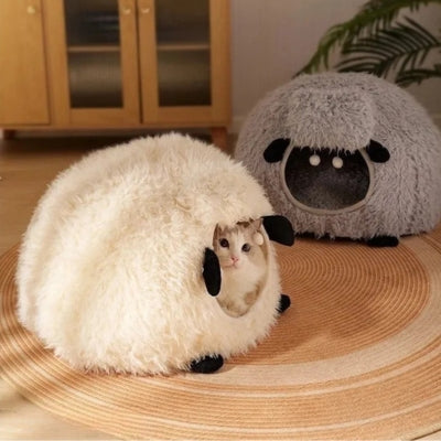 chaton lové dans maison chaton crème maison gris à côté