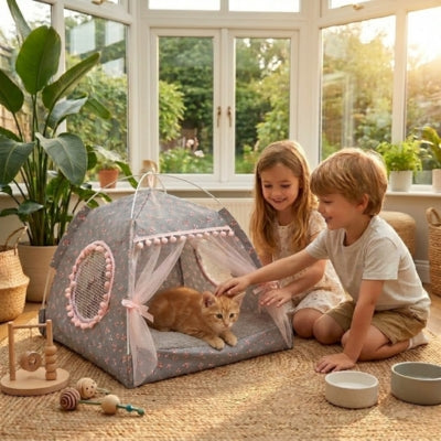 chaton lové dans iche pour chat enfants le caressant