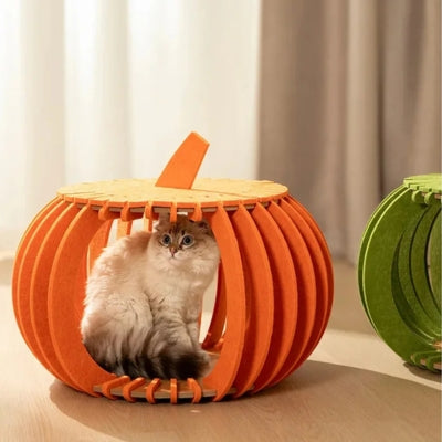 chaton lové dans nid chat orange