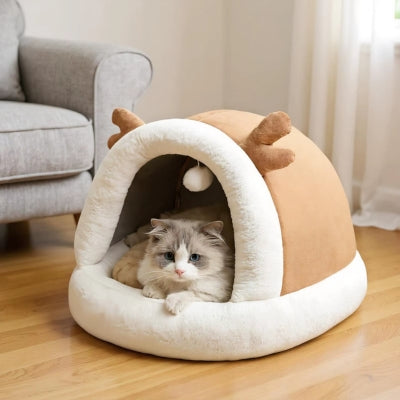 chaton lové dans nid chaton beige doré