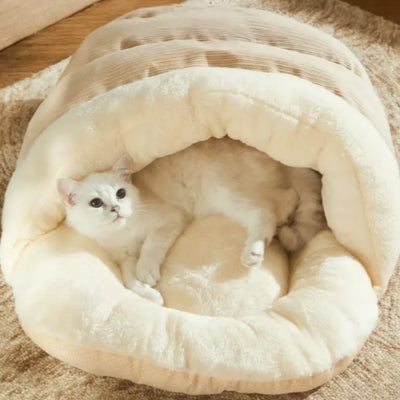 chaton lové dans nid chaton beige rosé