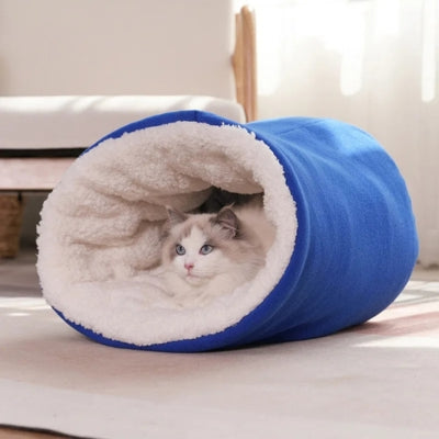 chaton lové dans nid chaton bleu royal
