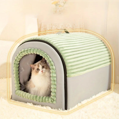 chaston lové dans sa maison chaton vert d'eau