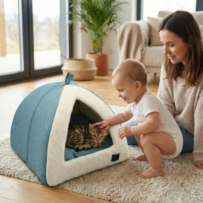 chaton lové nid chaton bébé le flattant maman les regardant