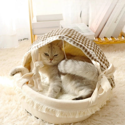 chaton lové paisiblement dans couffin chaton