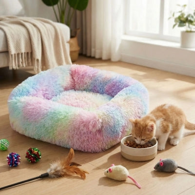 chaton mange dans gamelle coussin chaton à côté